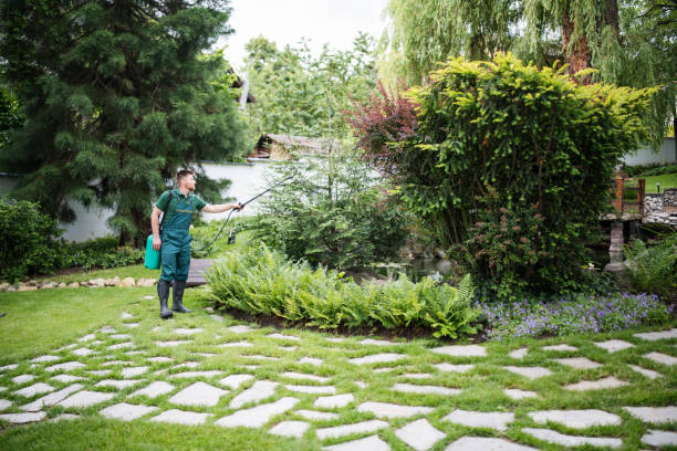 Best Insect Control  in Topaz Ranch Estates, NV