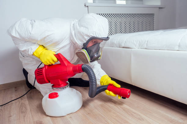 Best Local Pest Control Services  in Topaz Ranch Estates, NV