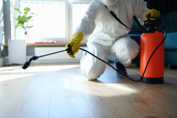 Best Flea Control Services  in Topaz Ranch Estates, NV