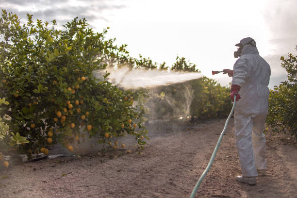 Best Mosquito Control Services  in Topaz Ranch Estates, NV