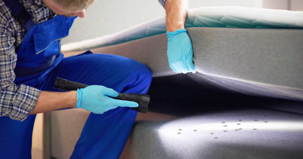 Best Best Pest Control Companies  in Topaz Ranch Estates, NV