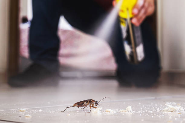 Best Residential Pest Control  in Topaz Ranch Estates, NV