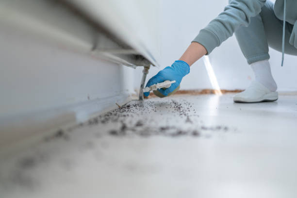 Best Pest Inspection Near Me  in Topaz Ranch Estates, NV